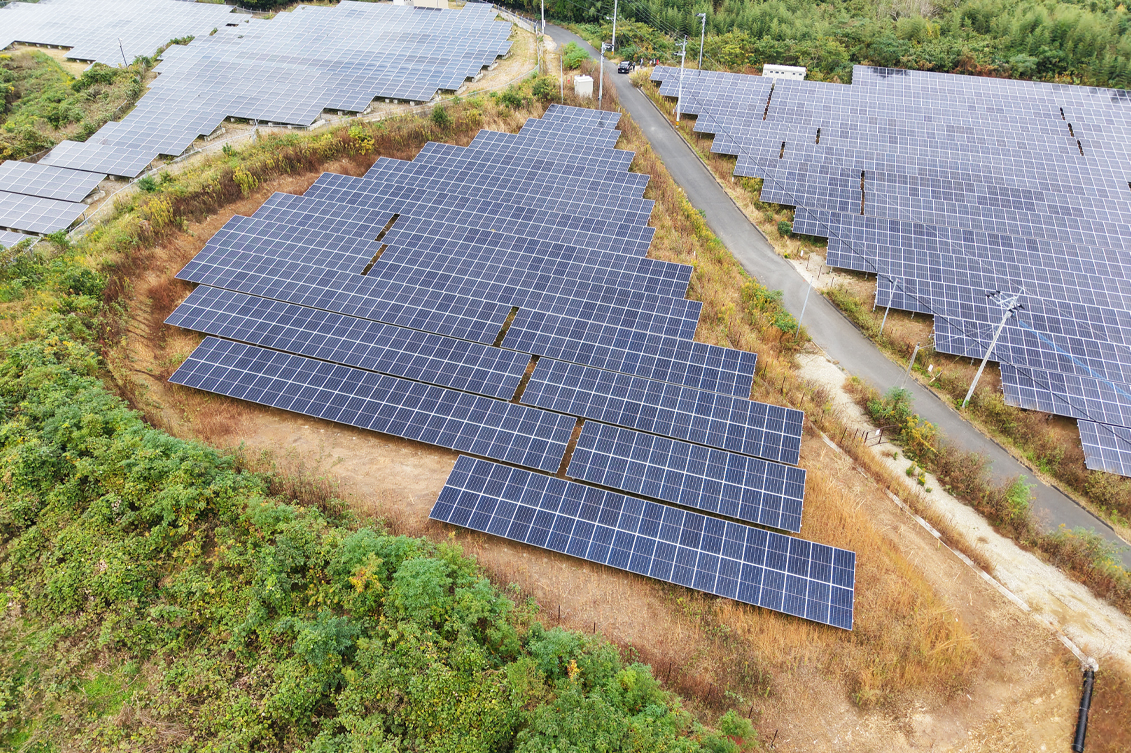 唐津市枝去木仮又B